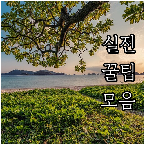 배출 스티커 대신 서대문 대형폐기물 ..