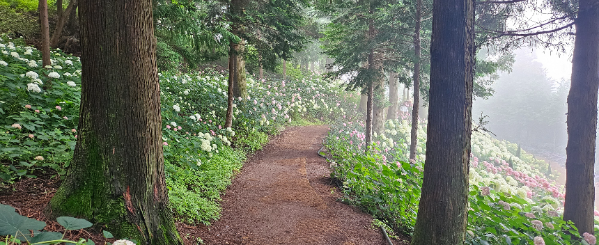 특색있고 아름다운 민간 정원 30선 추천 여행 - 21. 보성 성림정원
