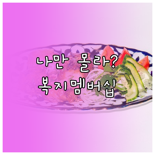 내게 맞는 정부 혜택 알림 서비스 복..