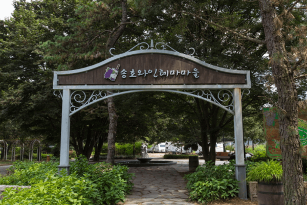 국내 여름 휴가 여행지 추천! 올여름 충북 영동에서 만나는 청정 피서지
