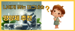 영양제 추천
