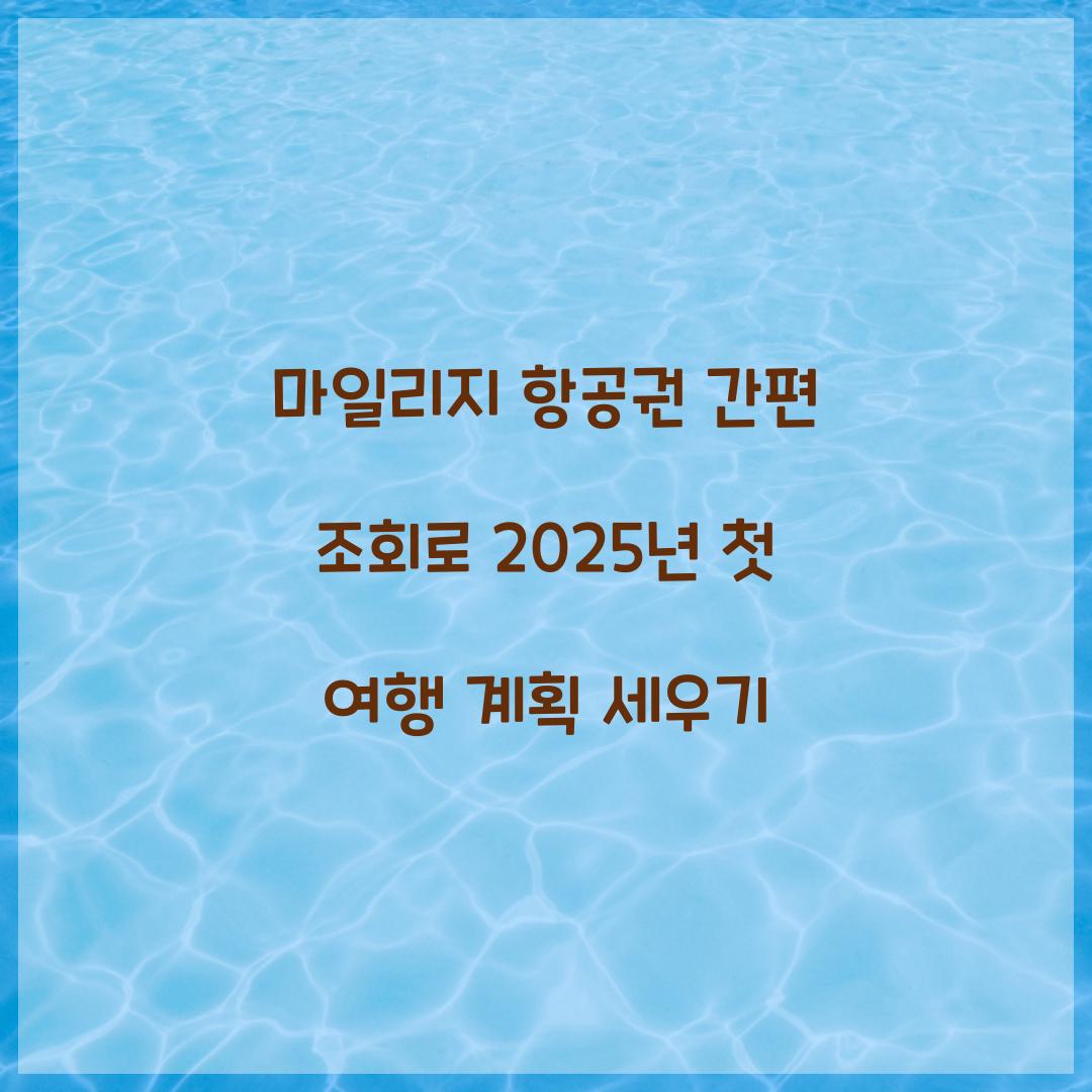마일리지 항공권 간편 조회