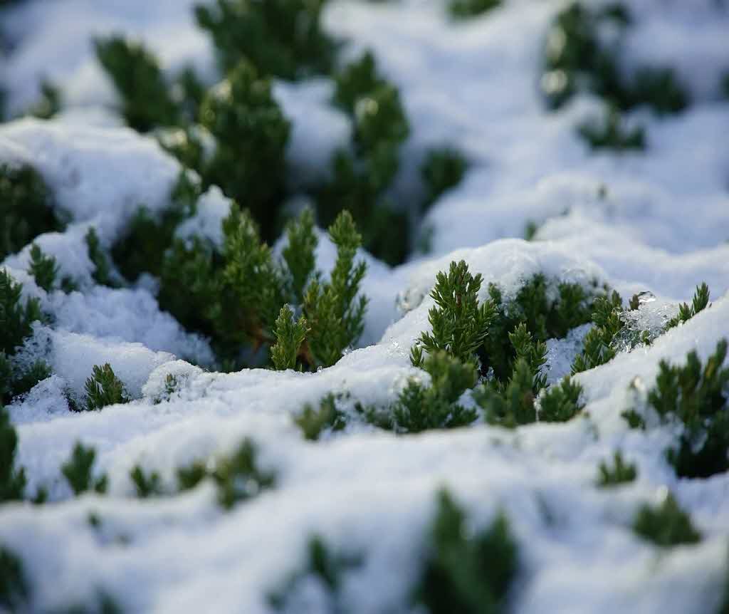 MBTI와 리더십: 어떤 유형이 리더로 적합할까?