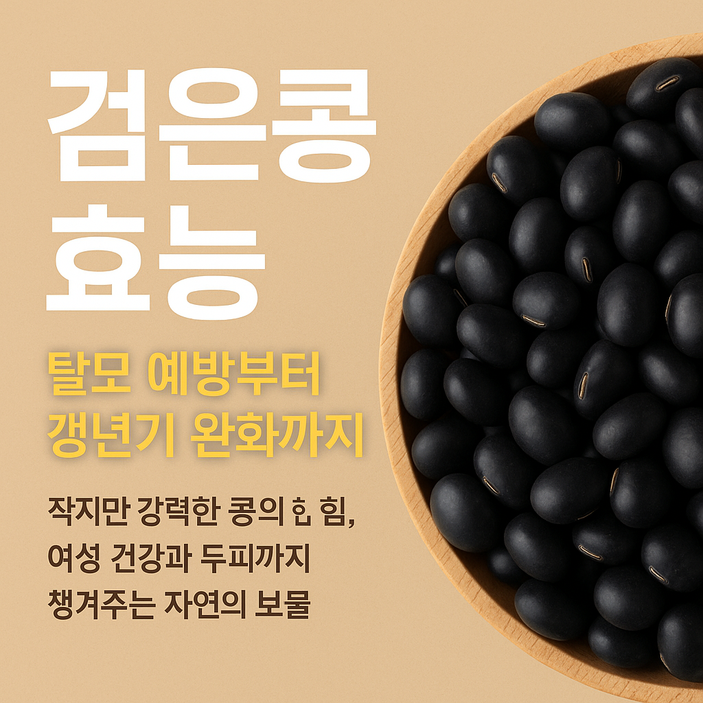검은콩 효능