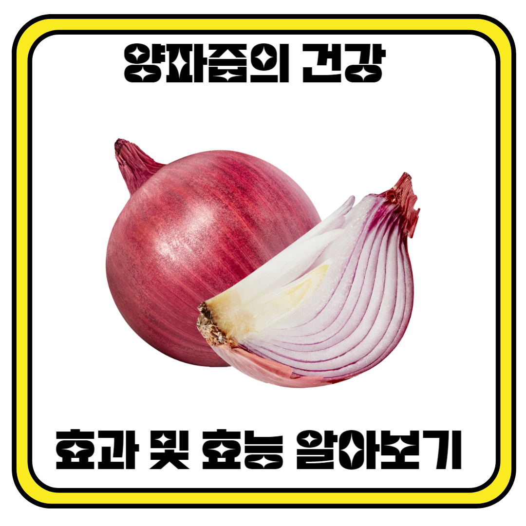 양파즙 건강 효과 및 효능