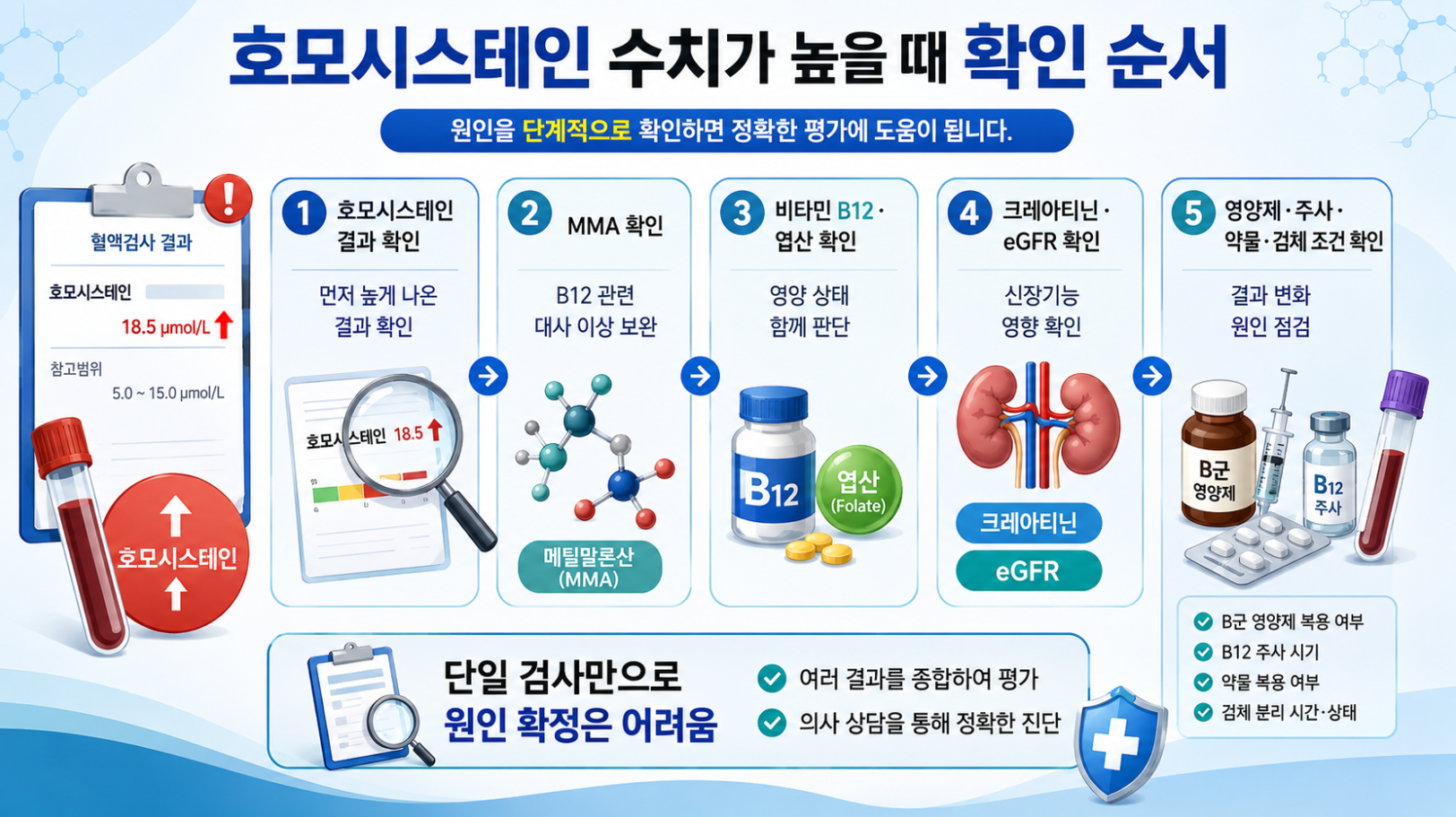 호모시스테인 수치가 높을 때 MMA, 비타민 B12, 엽산, 크레아티닌, eGFR을 확인하는 순서형 의료 인포그래픽
