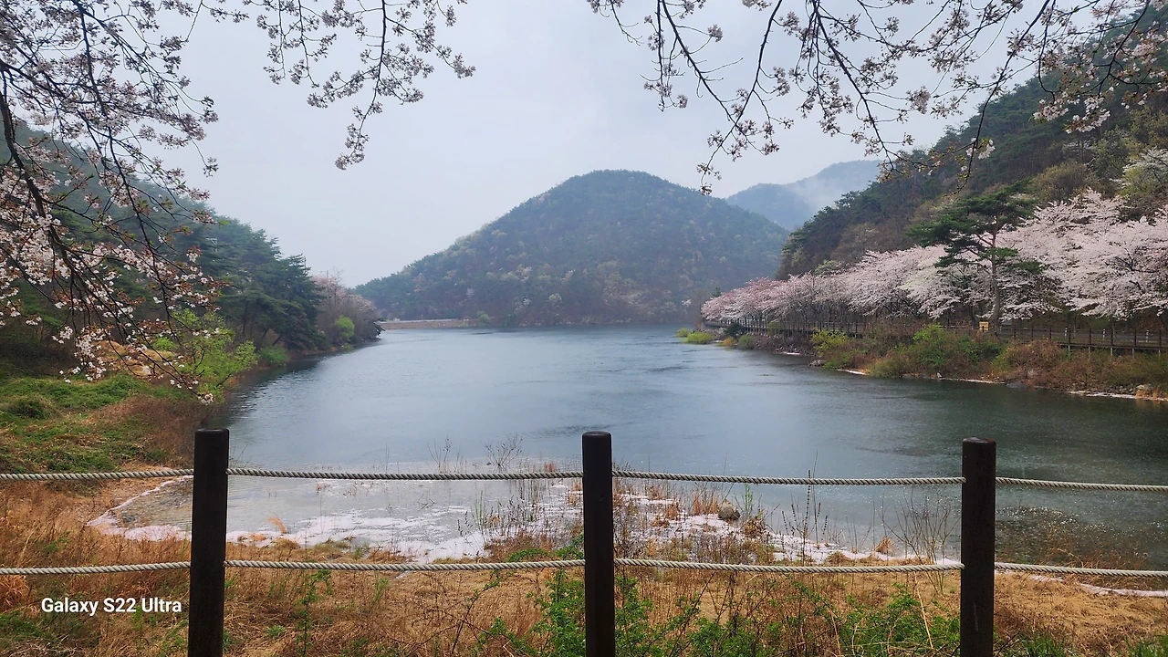 부안 변산해수욕장 오픈바·JAZZ 버스킹·비치 시네마 가이드