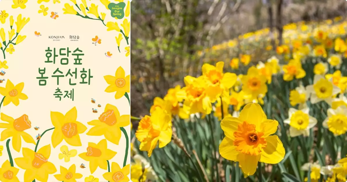 4월 봄꽃 축제 화담숲