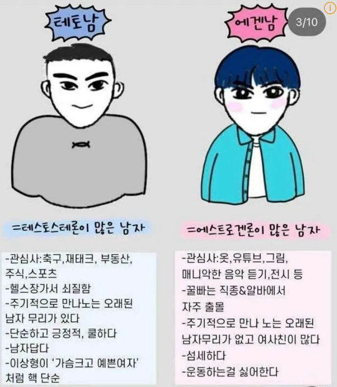 테토남-에겐남