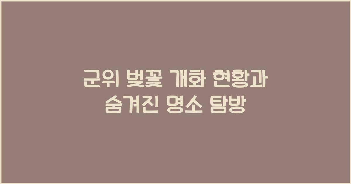 군위 벚꽃 개화