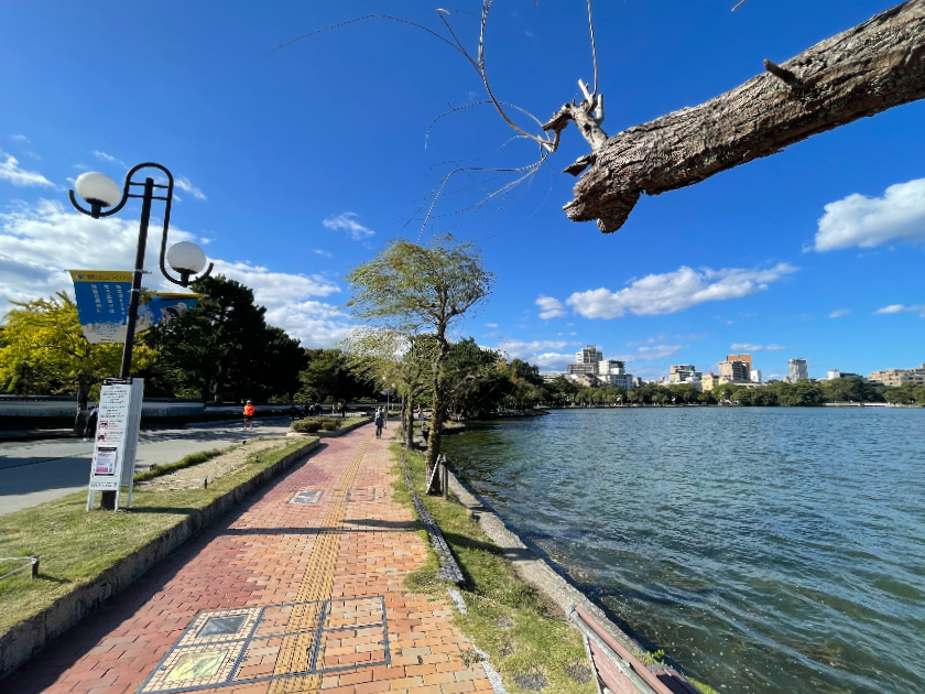 후쿠오카 미술관 앞 오호리 공원