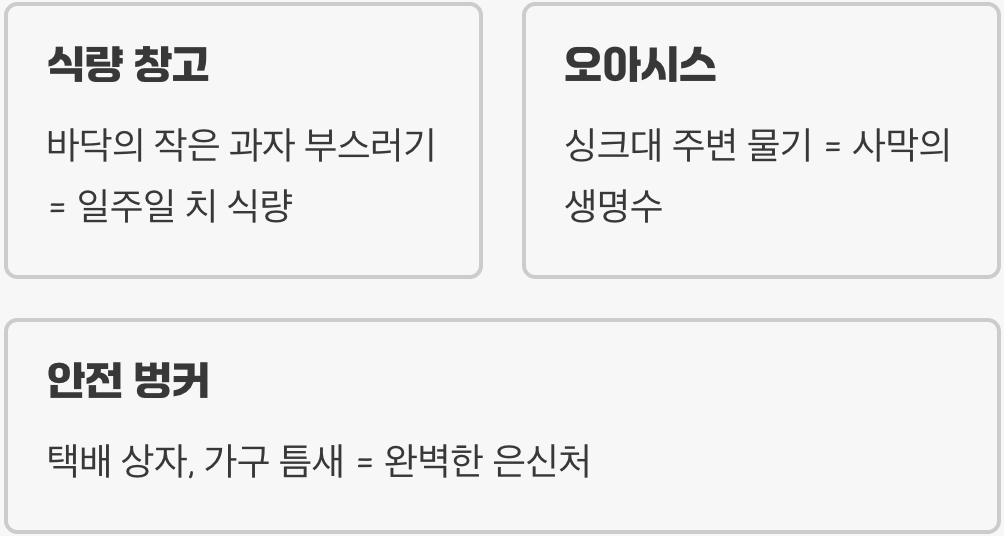 벌레의 시선으로 우리 집 바라보기