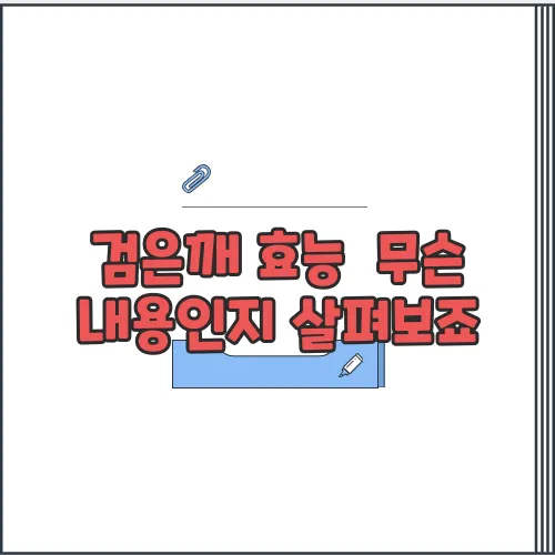 검은깨 효능  무슨 내용인지 살펴보죠