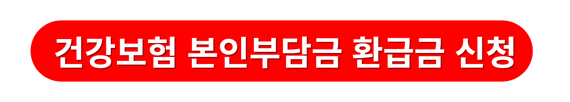건강보험공단 본인부담금 환급금 신청