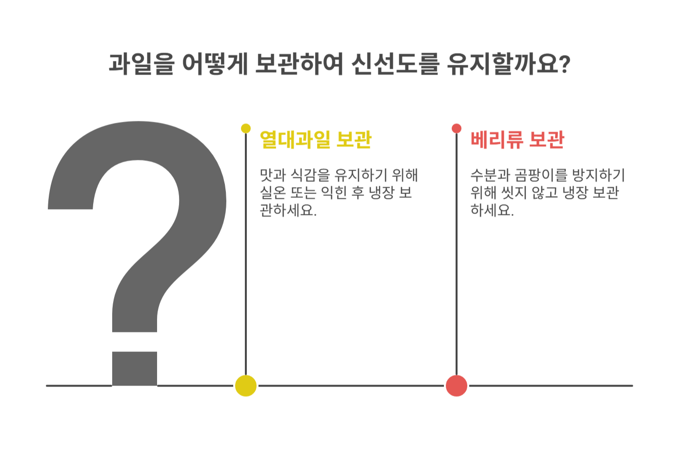 과일 종류별 신선도 유지 보관법