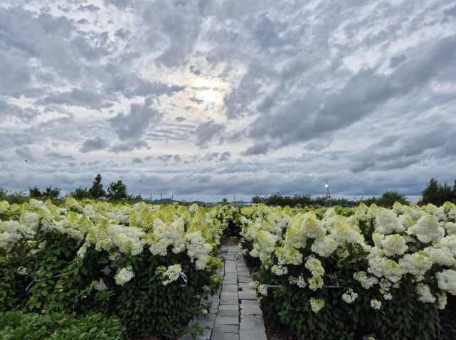 익산 정착 리얼 가이드 &mdash; &lsquo;크지 않아서 버티기 쉬운 도시&rsquo;