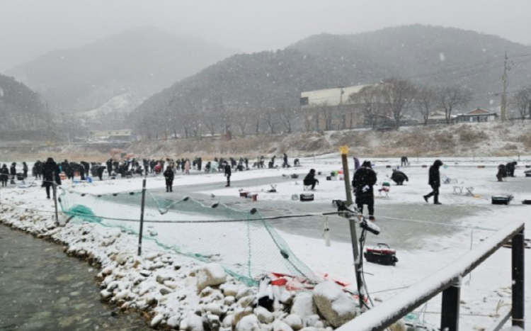 청평 설빙 송어빙어 축제