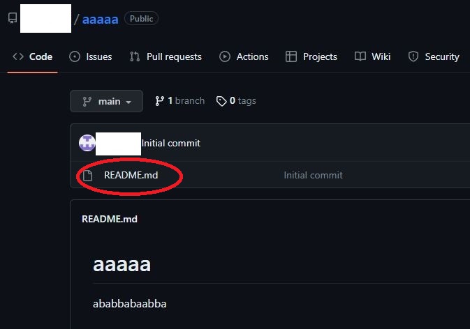 깃코인 패스포트