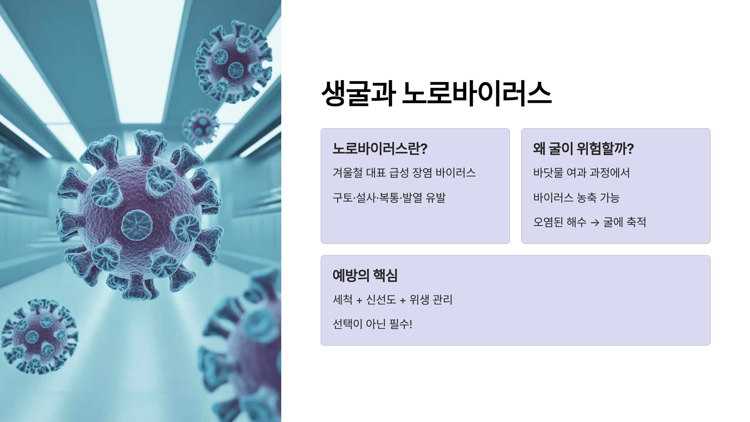 생굴 노로바이러스