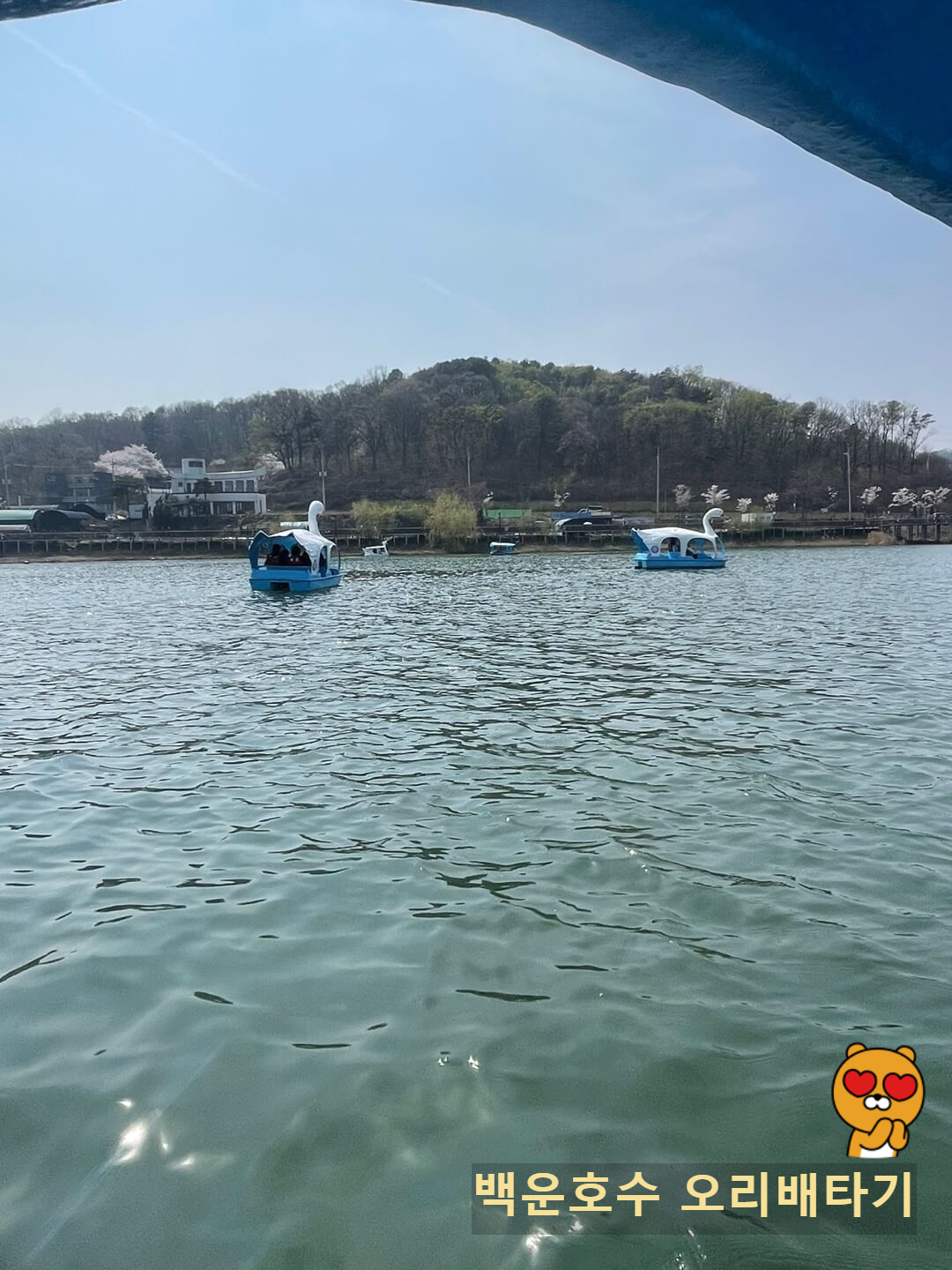 백운호수 오리배