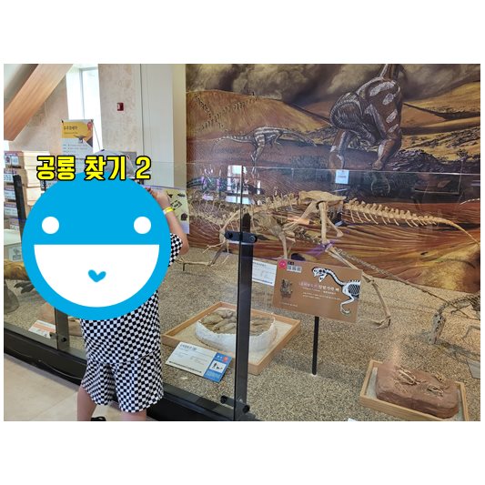 안면도 쥬라기박물관 1층