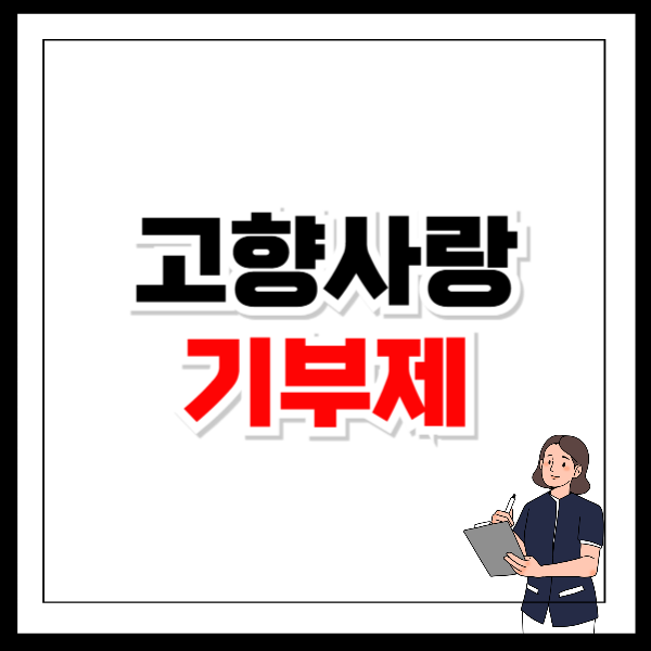 고향사랑기부제 세액공제 환급 연말정산