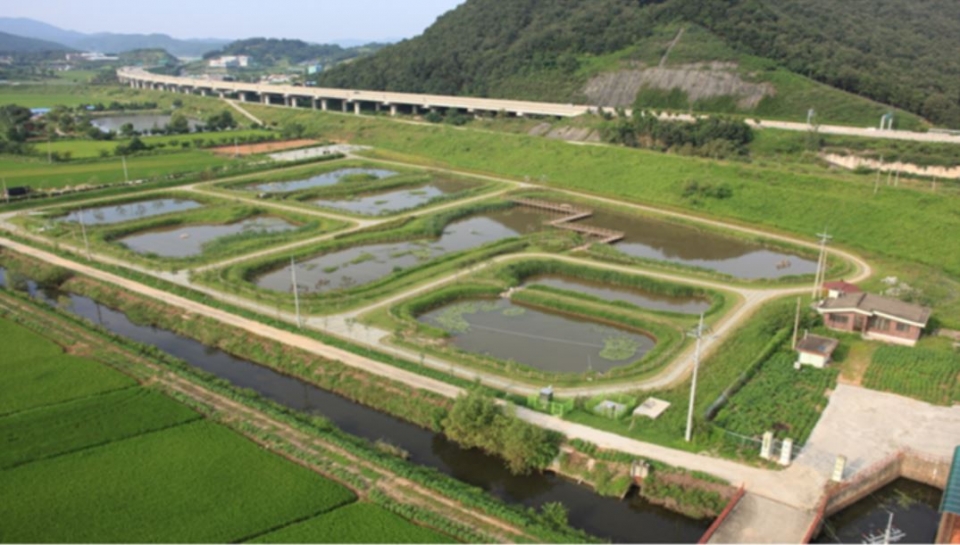 비점오염원 저감하는 자연형 인공습지 시설