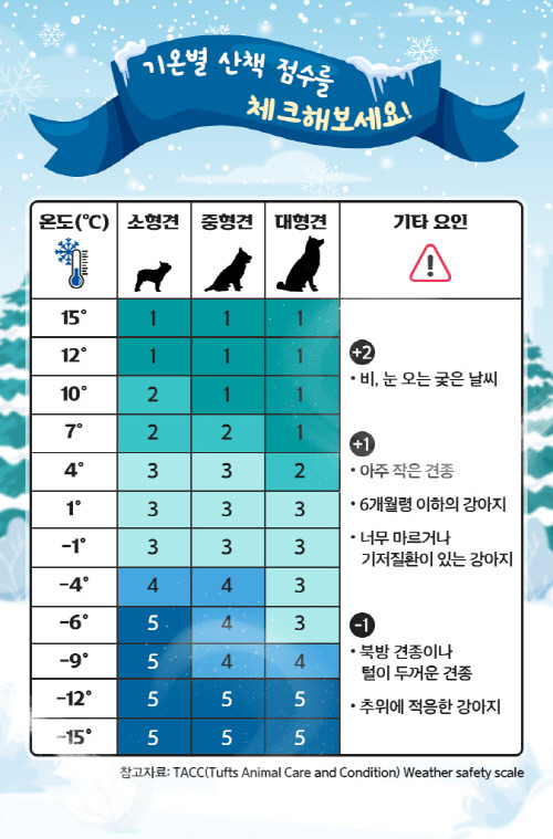 계절별 환경에서 강아지가 산책하는 모습, 날씨에 따른 여행 이미지