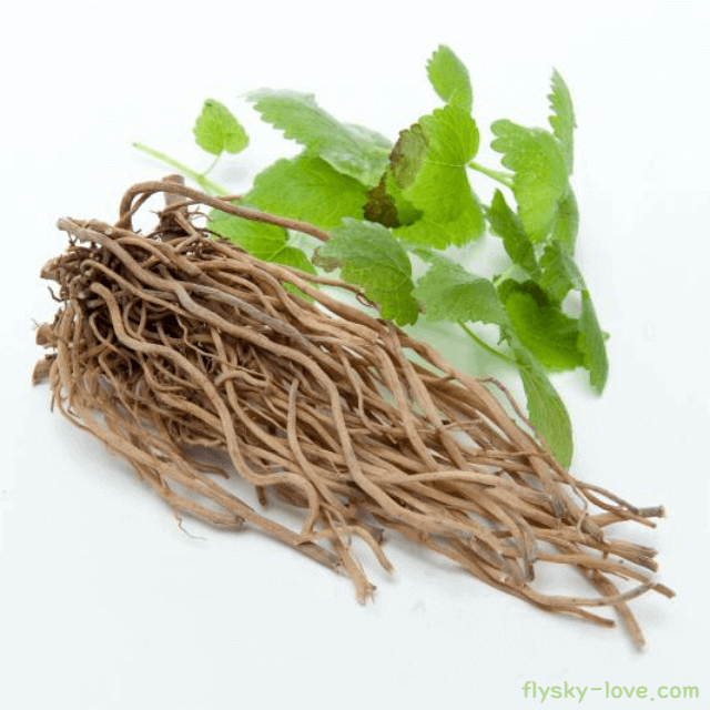 우슬 먹는 방법