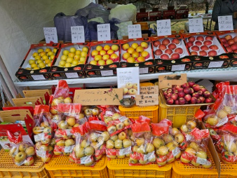 부석사 잔디광장 사과판매장