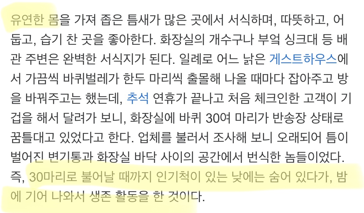 바퀴벌레 퇴치 법