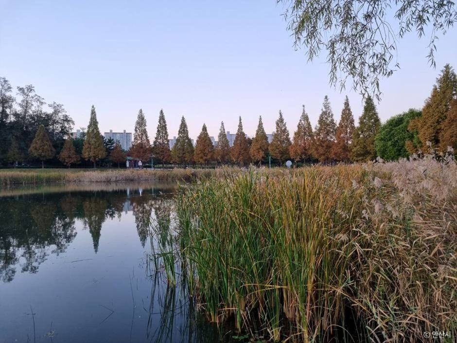 안산호수공원 호수뷰 피크닉 명소 당일치기 나들이