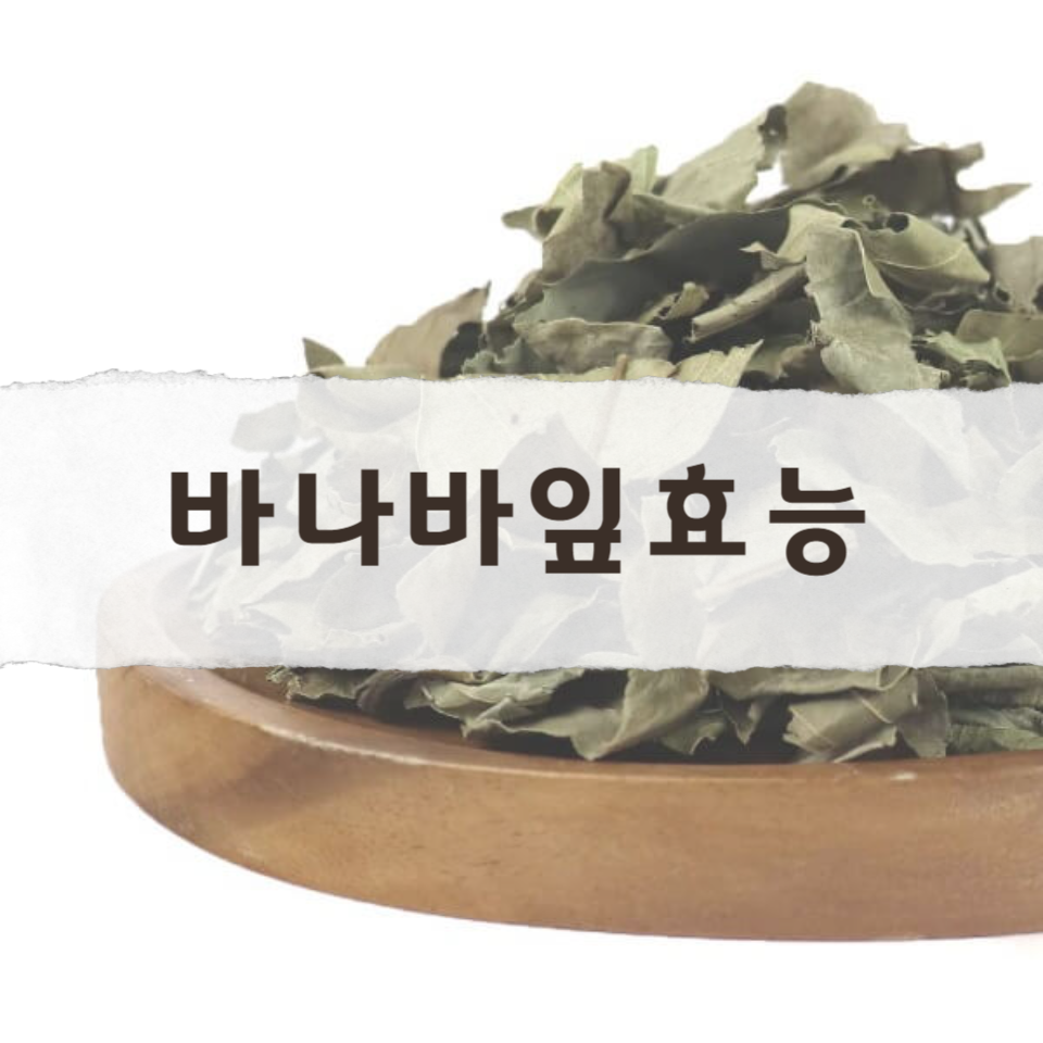 바나바잎의-효능과-부작용에-대한-바나바잎