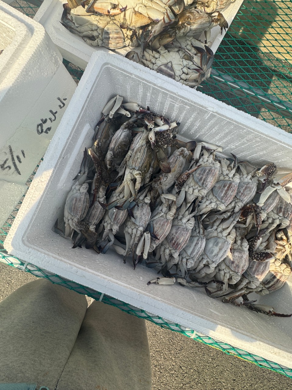 부안 간장게장 맛집 추천&amp;#44; 변산반도 모녀게장식당