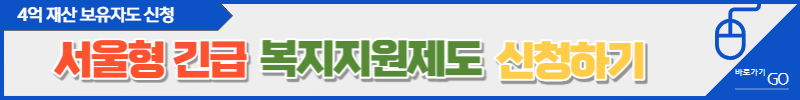 서울형 긴급복지지원제도 신청하기