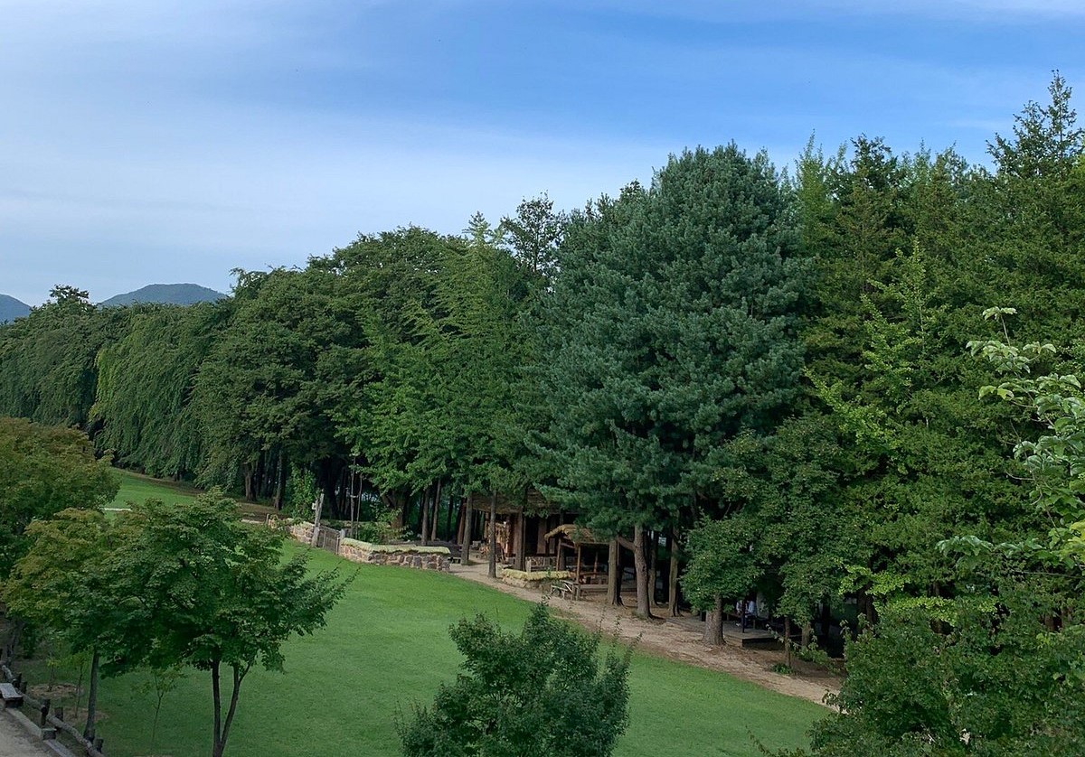 화순 동구리호수공원 관람 가이드