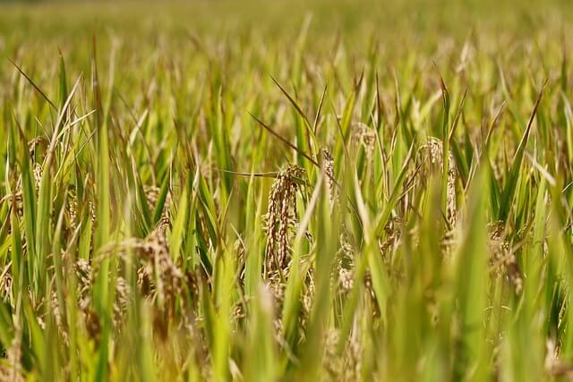 추석 선물세트 사전 예약&amp;#44; 미리 준비해 더 알뜰하게!