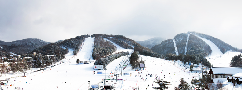 전국 스키장 개장일 2024-2025