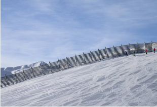 하얼빈 동계올림픽 중계