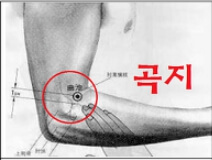 중풍 칠처혈 위치