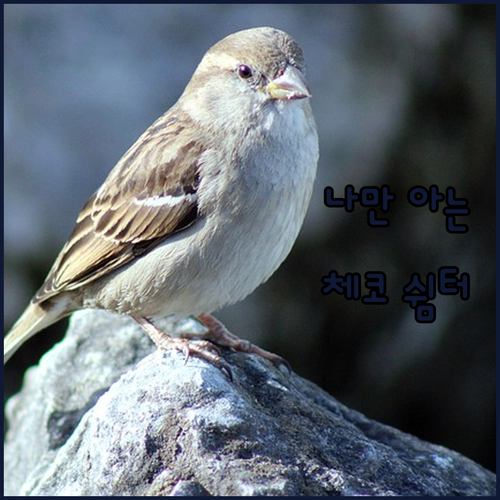 나만 알고 싶은 체코 엘베강변의 안락..