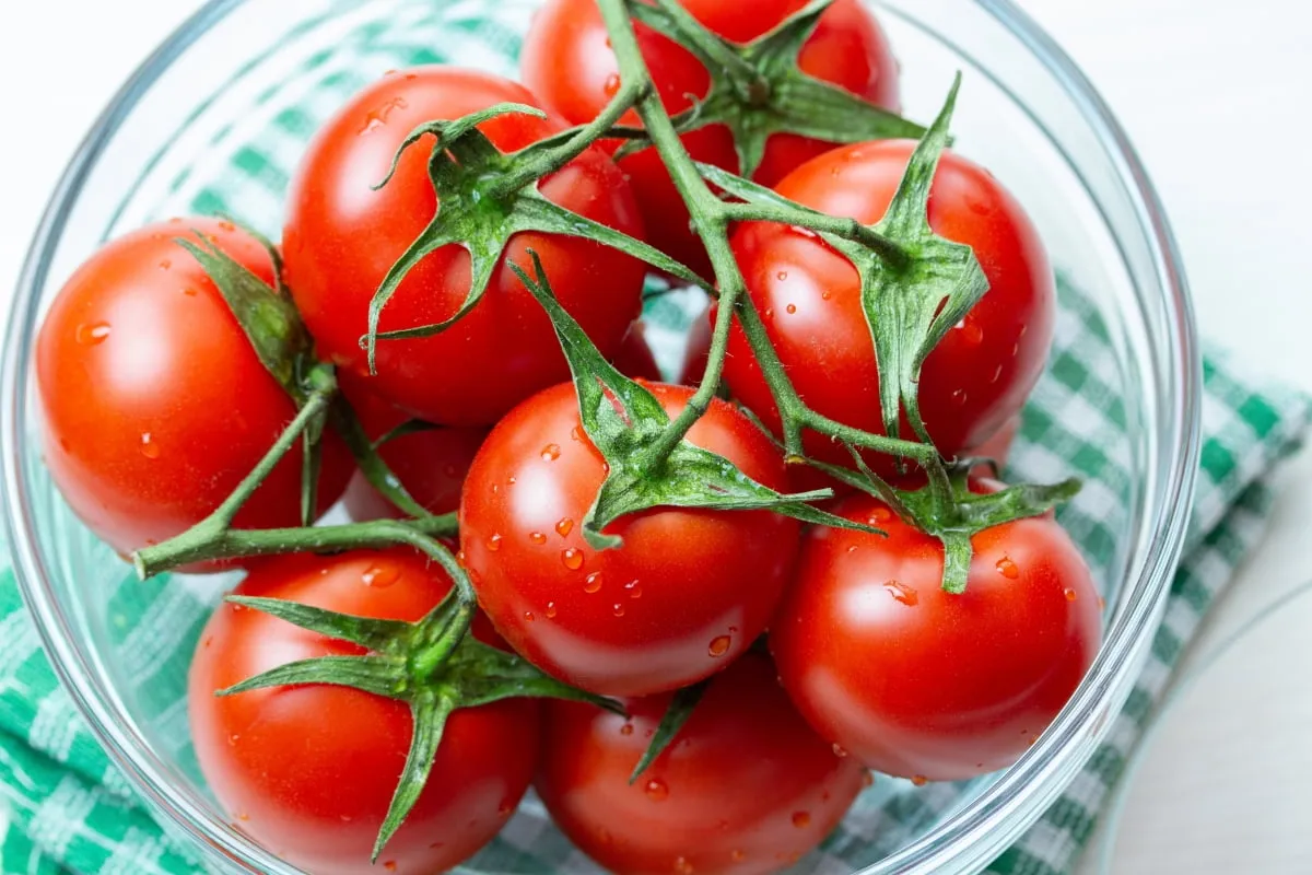 토마토 효능 항산화 작용과 피부건강 효과 정리_4