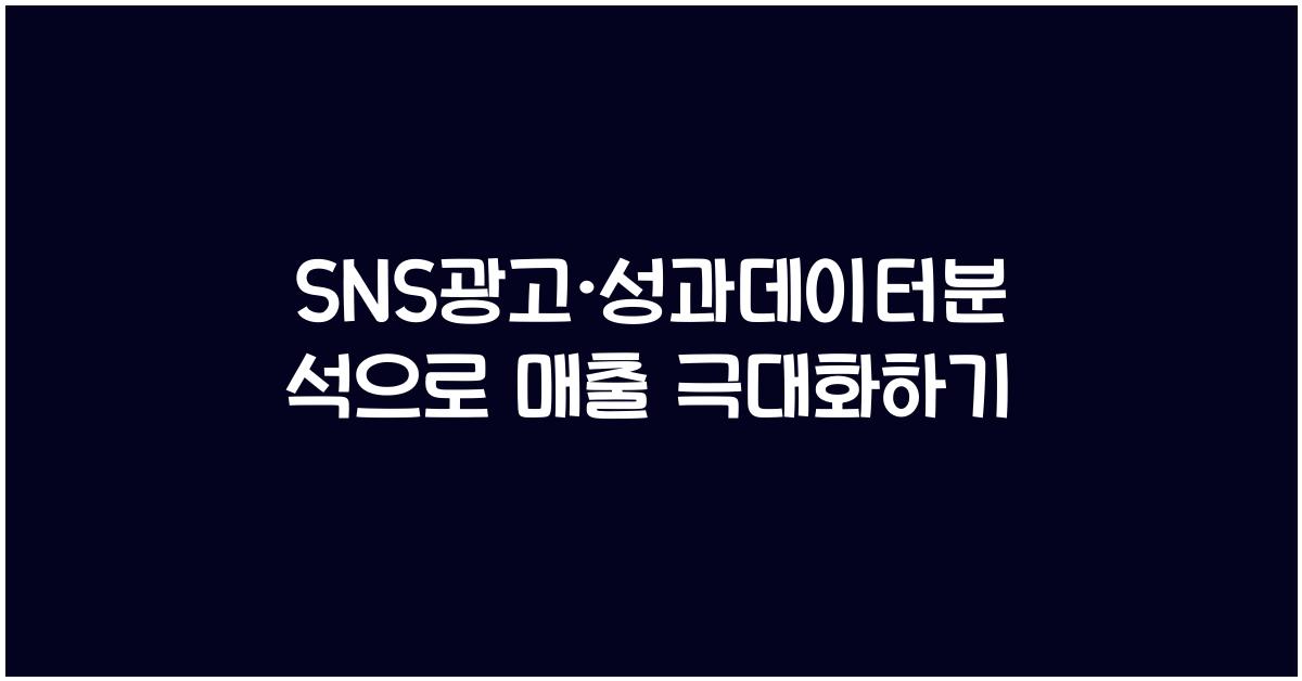 SNS광고·성과데이터분석