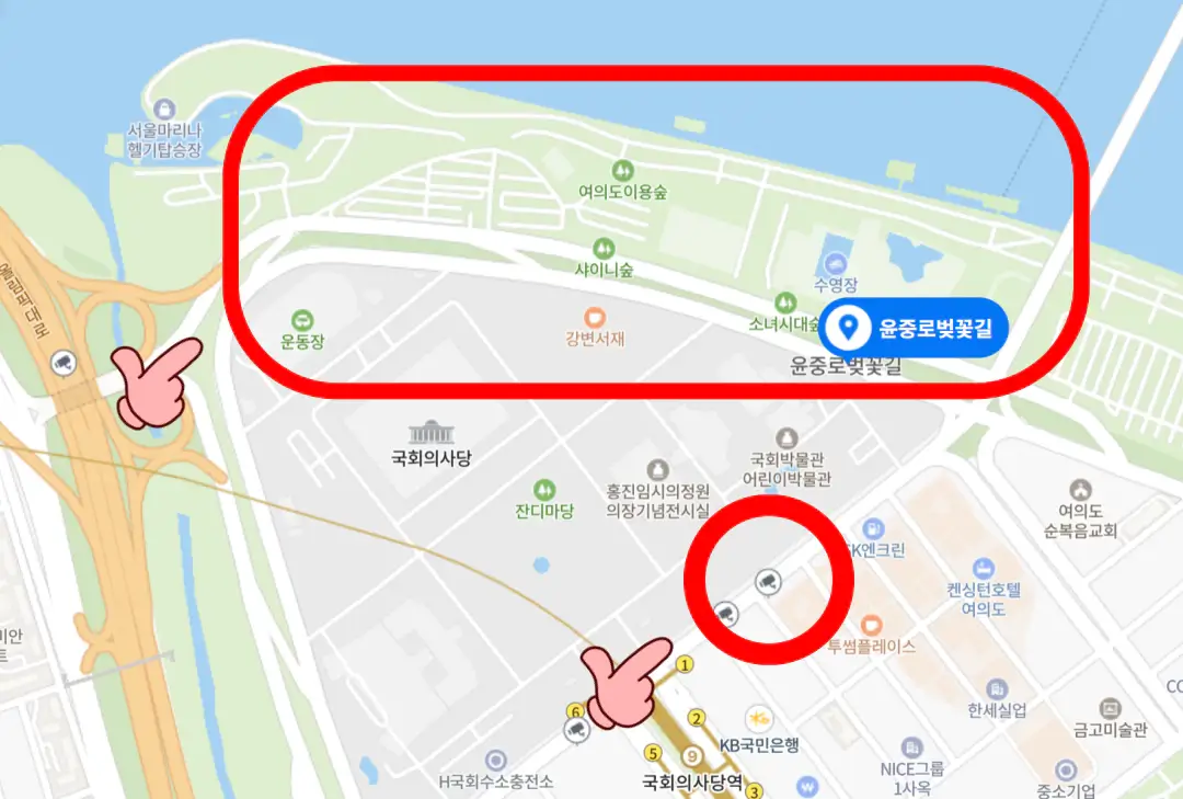 서울벚꽃길명소-지도-윤중로