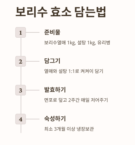보리수 효소 담는법