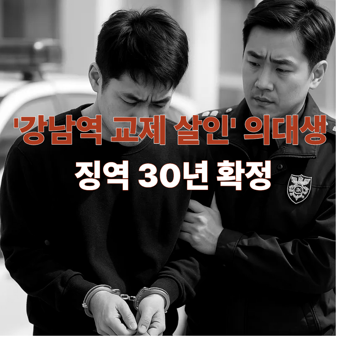 강남역 교제 살인 의대생 판결, 종합법률정보, 변호사 상담
