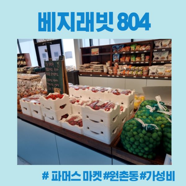 베지래빗804