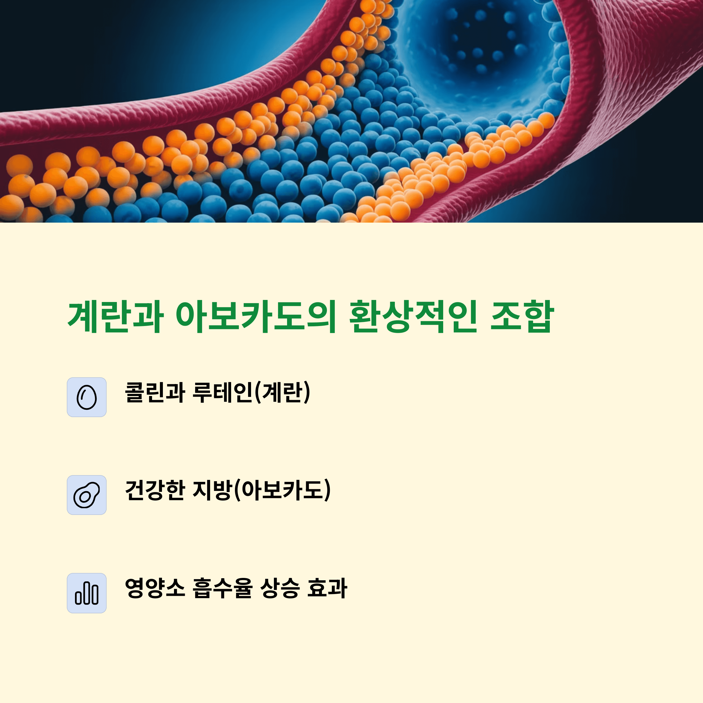 아침에 먹는 계란