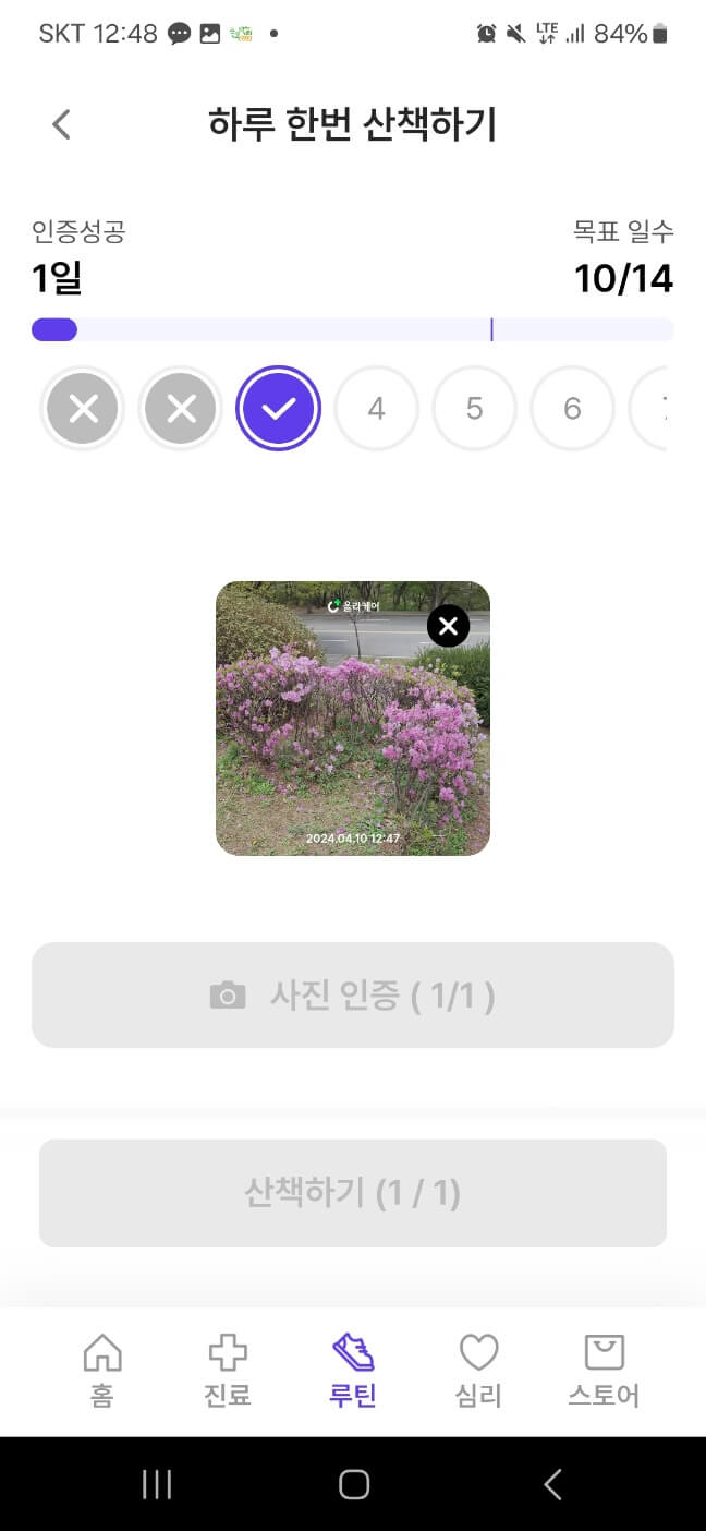 걷기 앱테크로 네이버페이 포인트 현금받기