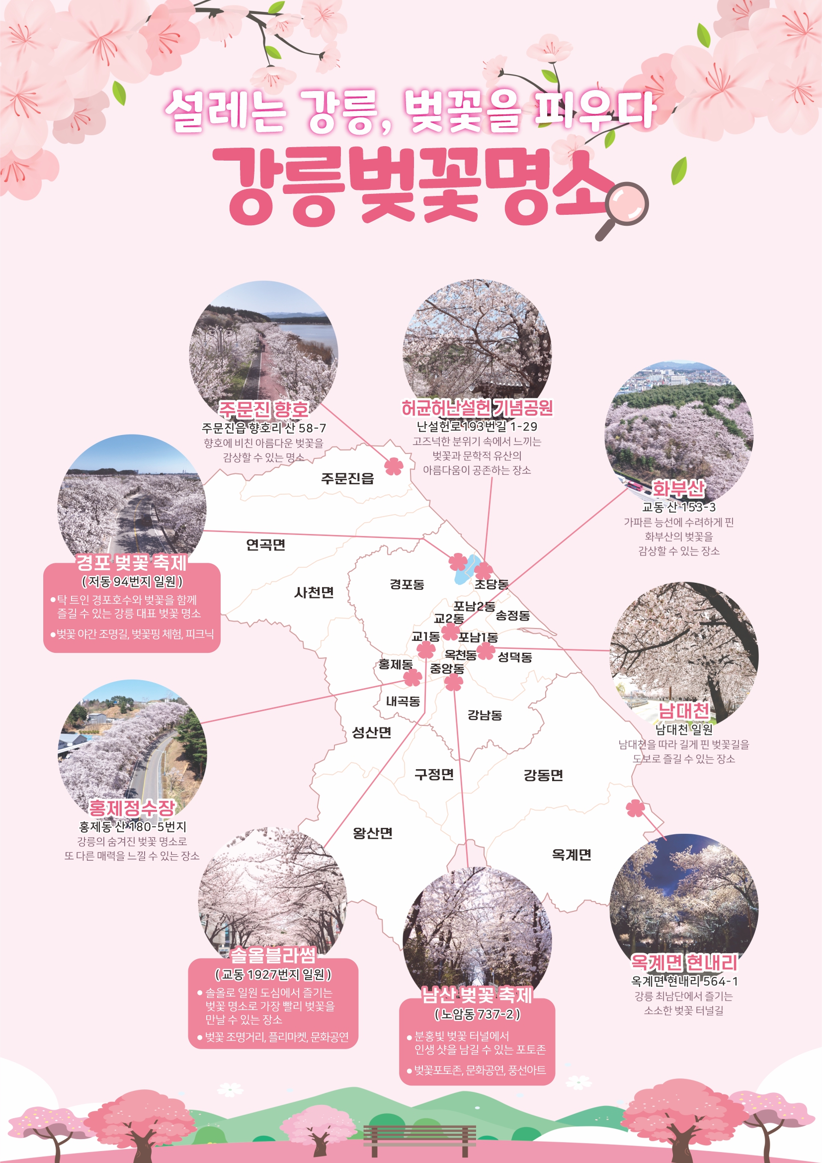 강릉 벚꽃 명소